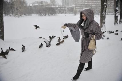 Екатеринбург. Женщина кормит птиц в парке во время снегопада