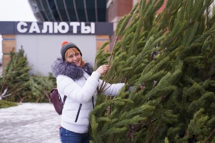 Самара. Женщина выбирает елку на елочном базаре.