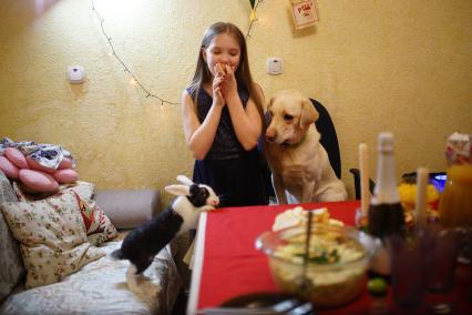 Екатеринбург. Празднование Нового года. Девочка с собакой и кроликом у праздничного стола