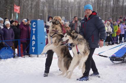 Самара.  Во время гонок на ездовых собаках `Рождественские горки`.