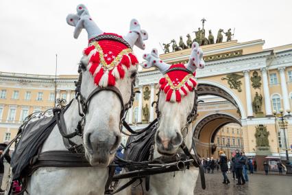 Санкт-Петербург. Лошади с оленьими рожками, запряженные в карету, которая катает туристов на Дворцовой площади.