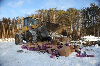 Свердловская область. Уничтожение партии снюс (табачный продукт с повышенным содержанием никотина) изъятой из продажи сотрудниками Роспотребнадзора