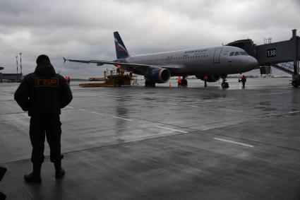 Московская область. В международном аэропорту Шереметьево.