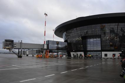 Московская область. В международном аэропорту Шереметьево.