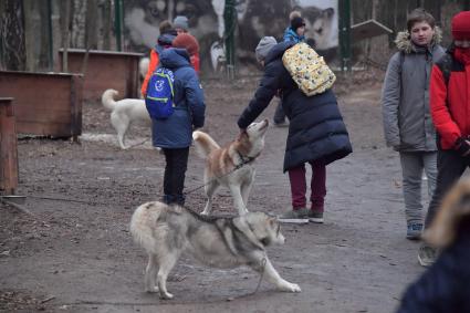 Москва. Во время открытия  социальной реабилитационной программы  `По пути с хаски` в парке Сокольниках.