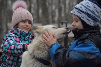 Москва. Во время открытия  социальной реабилитационной программы  `По пути с хаски` в парке Сокольниках.