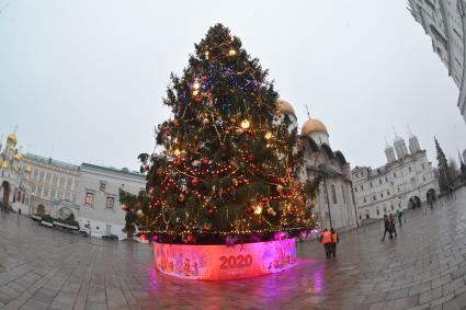 Москва.   Украшенная новогодняя елка на Соборной площади Кремля.