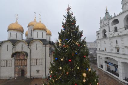 Москва.   Украшенная новогодняя елка на Соборной площади Кремля.