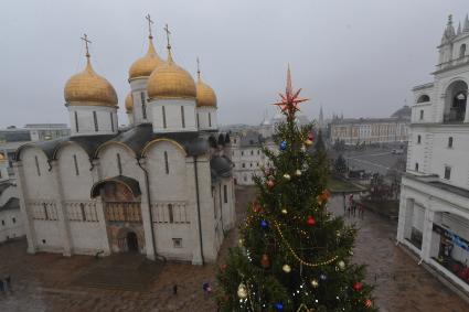 Москва.  Вид сверху на Успенский собор Московского Кремля и новогоднюю елку.