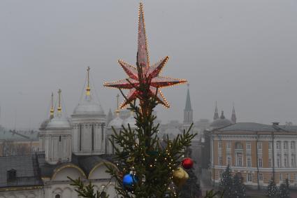 Москва.  Вид сверху на  Соборную площадь Московского Кремля и новогоднюю елку.