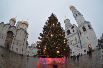 Москва.   Украшенная новогодняя елка на Соборной площади Кремля.