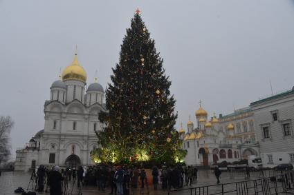 Москва.   Украшенная новогодняя елка на Соборной площади Кремля.