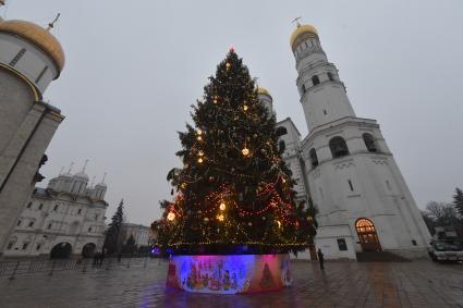 Москва.   Украшенная новогодняя елка на Соборной площади Кремля.