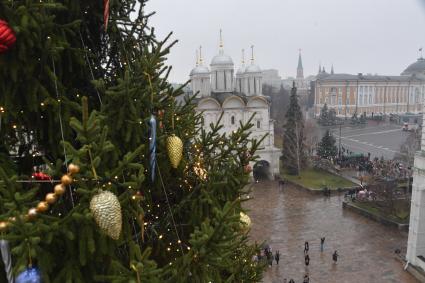 Москва.  Украшенная новогодняя елка на Соборной площади Кремля.