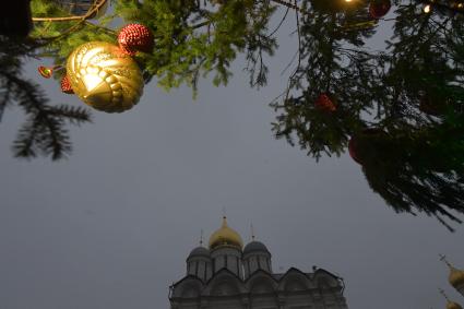 Москва.   Украшенная новогодняя елка на Соборной площади Кремля.