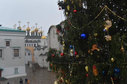 Москва.   Украшенная новогодняя елка на Соборной площади Кремля.