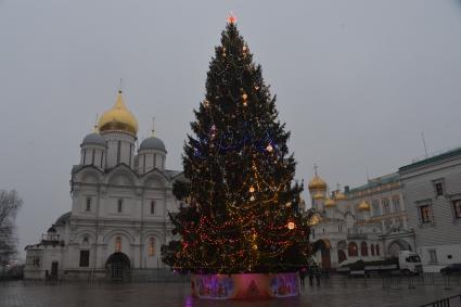 Москва.   Украшенная новогодняя елка на Соборной площади Кремля.