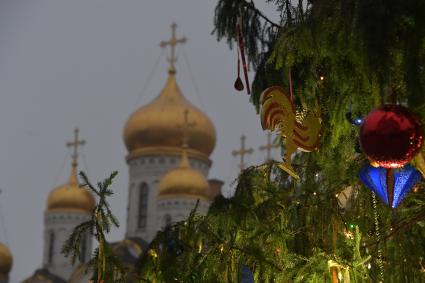 Москва.   Украшенная новогодняя елка на Соборной площади Кремля.