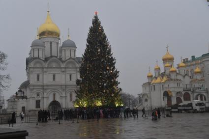 Москва.   Украшенная новогодняя елка на Соборной площади Кремля.