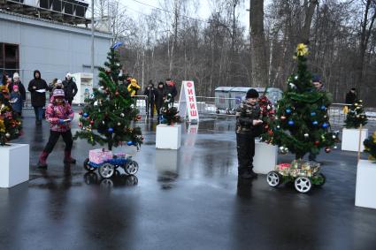 Москва.   `Гонки елок` в парке `Сокольники`.