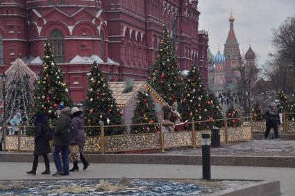 Москва.  Новогодние елки во время фестиваля `Путешествие в Рождество` на Манежной площади.