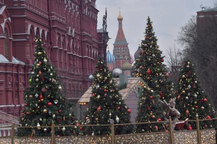 Москва.  Новогодние елки во время фестиваля `Путешествие в Рождество` на Манежной площади.