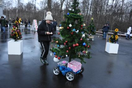 Москва.   `Гонки елок` в парке `Сокольники`.