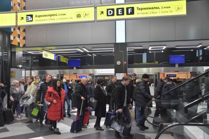 Московская область. Пассажиры  в терминале F аэропорта Шереметьево. С 1 февраля 2020 года Россия ограничила авиасообщение с Китаем для предотвращения распространения коронавируса.