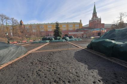 Москва. В Александровском саду.