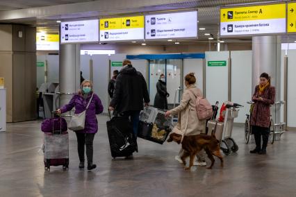 Московская область. Пассажиры  в терминале F аэропорта Шереметьево.