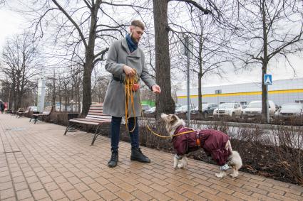 Москва. Молодой человек выгуливает собаку.