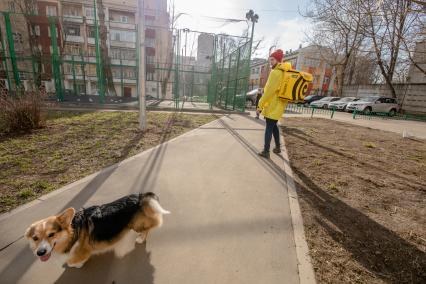 Москва. Сотрудник сервиса по доставке еды `Яндекс Еда`.