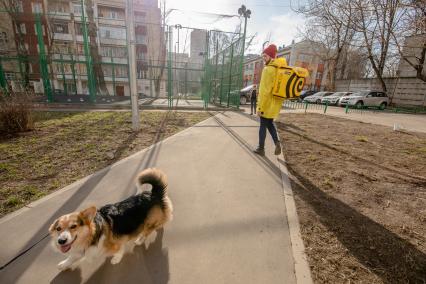 Москва.   Сотрудник сервиса по доставке еды `Яндекс Еда`.