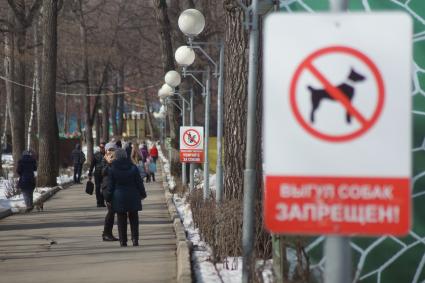 Самара.  Посетители в  парке.