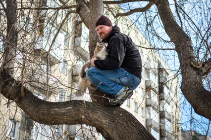 Новосибирск. Мужчина снимает кошку с дерева.