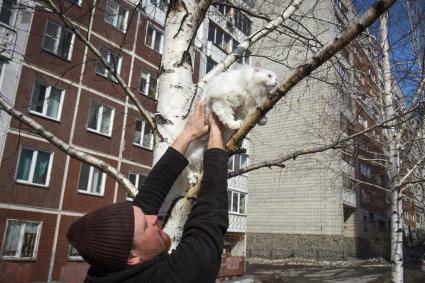 Новосибирск. Мужчина снимает кошку с дерева.