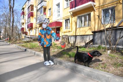 Москва.   Мальчик в медицинской маске гуляет с собакой во дворе.