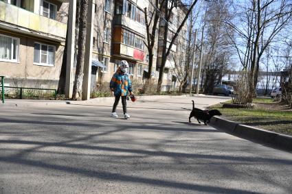 Москва.   Мальчик в медицинской маске гуляет с собакой во дворе.