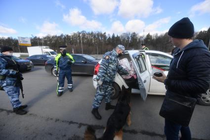 Москва. Сотрудник дорожно-патрульной службы ГИБДД во время проверки электронного пропуска у водителя на блокпосту при въезде в Москву.