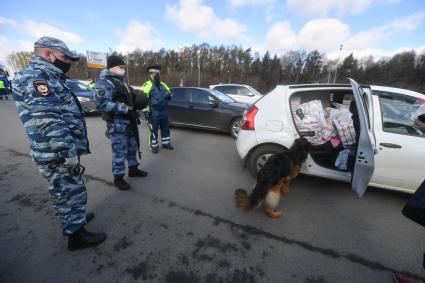 Москва. Сотрудник дорожно-патрульной службы ГИБДД во время проверки электронного пропуска у водителя на блокпосту при въезде в Москву.