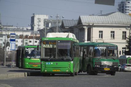 Екатеринбург. Автобусы на остановке общественного транспорта