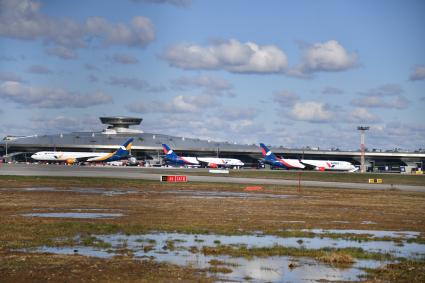 Москва.  Самолеты авиакомпании Azur Air на территории международного аэропорта Внуково.