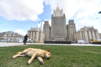 Москва. Вид на здание МИД РФ.