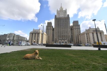 Москва. Вид на здание МИД РФ.