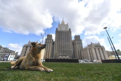 Москва. Вид на здание МИД РФ.