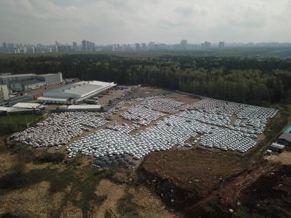 Москва.  Автомобили оператора каршеринга `Яндекс.Драйв` на одной из городских стоянок.