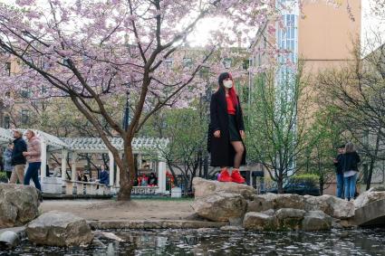 Санкт-Петербург. Посетительница китайского `Сада дружбы` гуляет около цветущей сакуры.