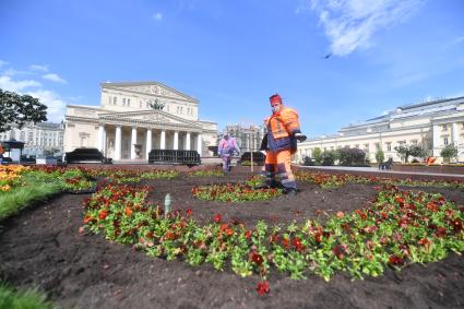 Москва. Работники по озеленению высаживают цветы на клумбы возле Большого театра.