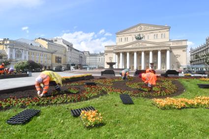 Москва. Работники по озеленению высаживают цветы на клумбы возле Большого театра.