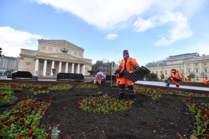 Москва. Работники по озеленению высаживают цветы на клумбы возле Большого театра.